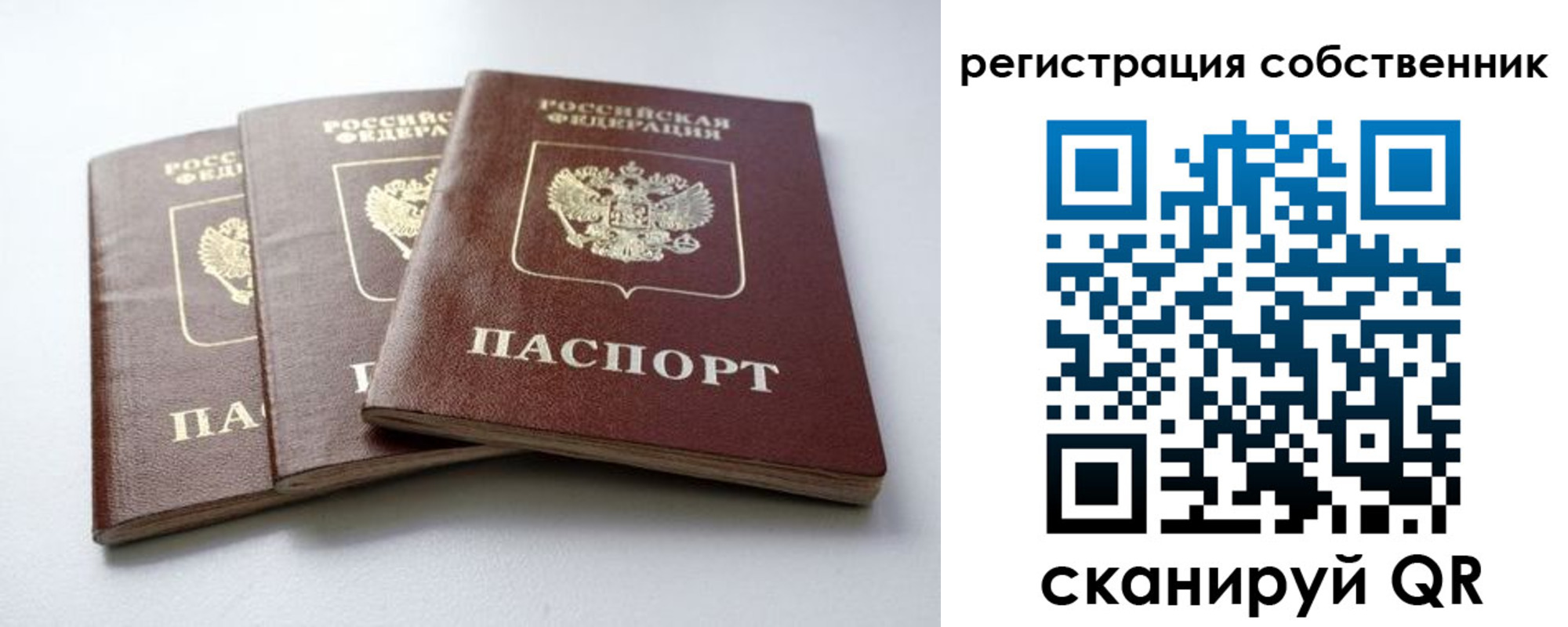 прописка для школы в Армавире